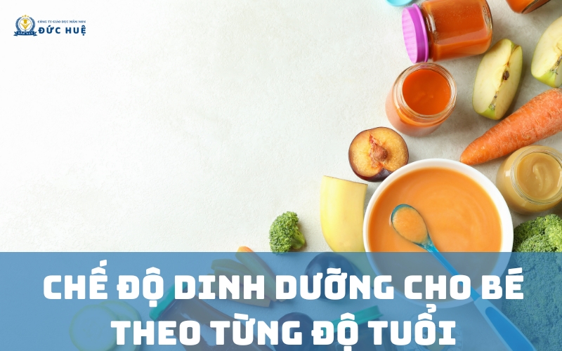 Tìm hiểu các chế độ dinh dưỡng dành cho trẻ