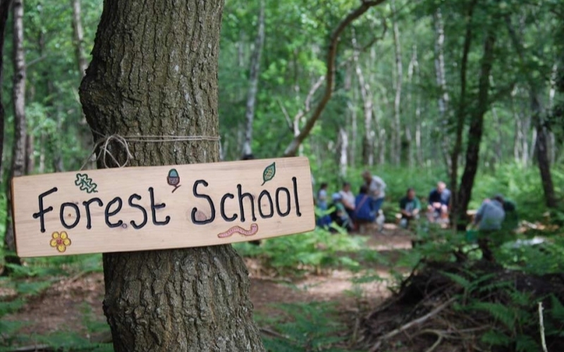 Forest School là phương pháp giáo dục được rất nhiều phụ huynh lựa chọn