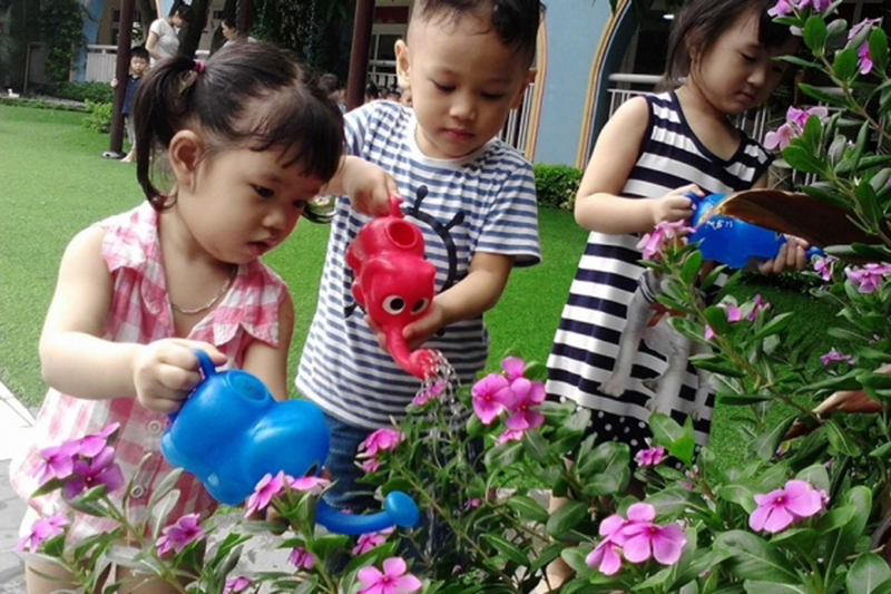 Kỹ năng trồng cây, yêu thương thực vật cho trẻ