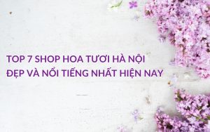 shop hoa tươi hà nội