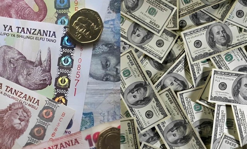 tiền tệ tanzania