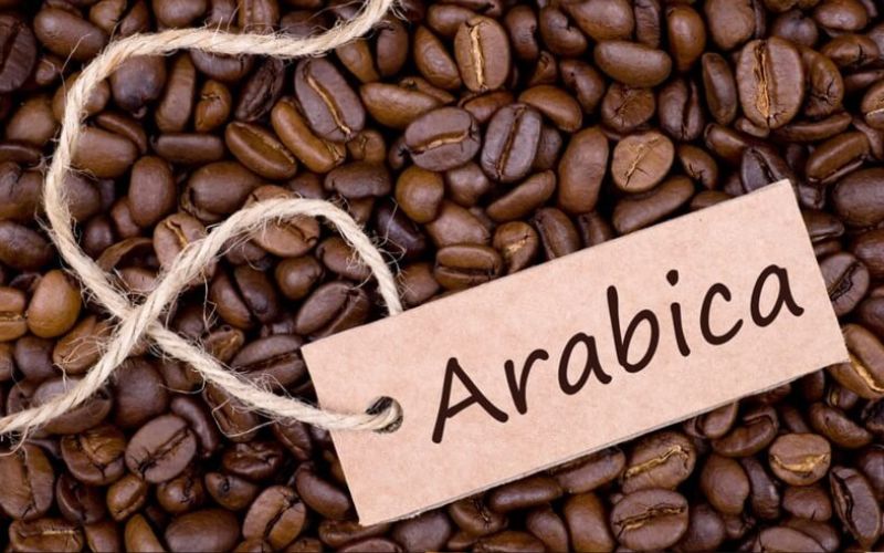 Chọn loại cà phê thích hợp cho espresso chuẩn