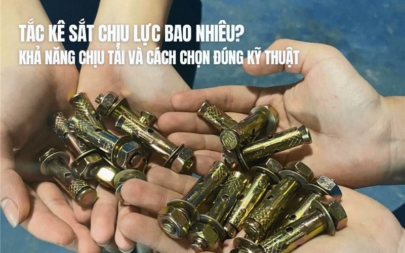 tắc kê sắt chịu lực bao nhiêu