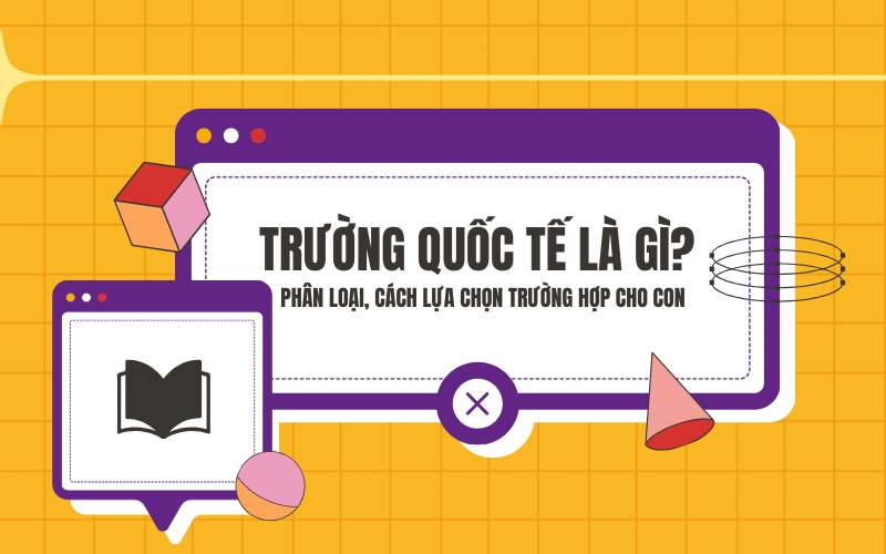 trường quốc tế là gì